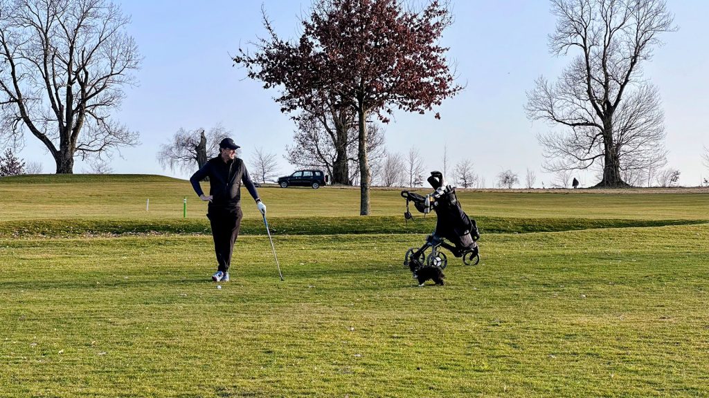 Gregor & Viva bei Golfen
