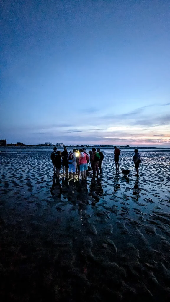 Wattenmeer Wanderung Ostfreisland